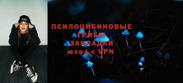 дурь Алексеевка