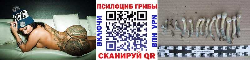 KRAKEN ТОР  Бодайбо  Псилоцибиновые грибы Psilocybe  закладка 